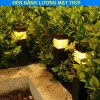Đèn Cắm Bãi Cỏ Sân Vườn - Năng Lượng Mặt Trời - Đèn Trang Trí Sân Vườn Gd0028
