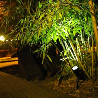 Images Upload Temp2f471a331b93f43ce2078295144c603c58.jpg