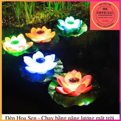 Images Upload Temp2fb82b50338693d083a3b150b3e2959c1b.jpg