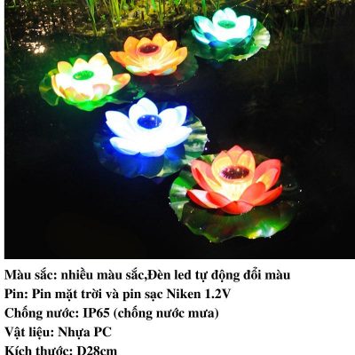 Images Upload Temp2fe3216260fedd29d625dc542b02142071.jpg