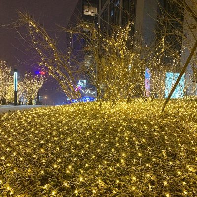 Images Upload Woo2f412f745ab54648ef07d94db9f746a8f7.jpg